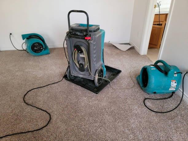 Best Commercial water damage restoration  in Lake Shore, WA