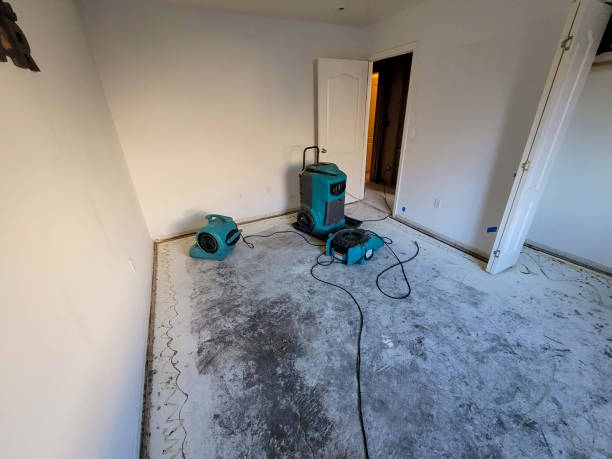 Best Water damage contractors near me  in Lake Shore, WA
