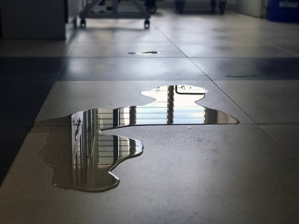 Water damage restoration insurance claims in WA