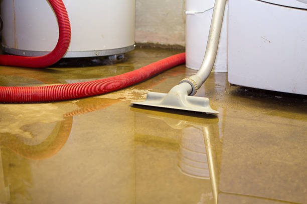 Best Flood restoration services  in Lake Shore, WA