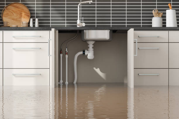 Best Water damage cleanup near me  in Lake Shore, WA