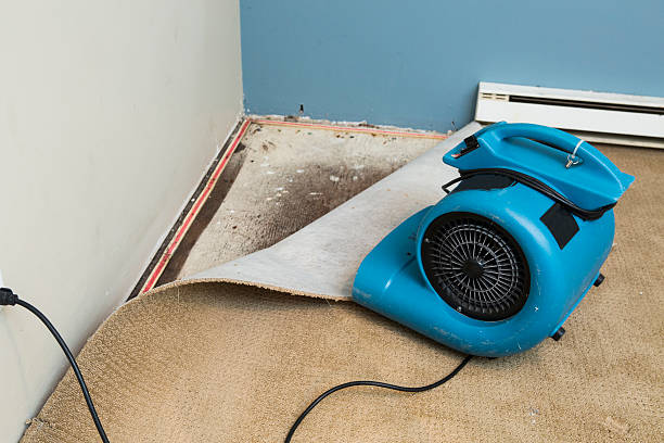 Best Water damage restoration insurance claims  in Lake Shore, WA